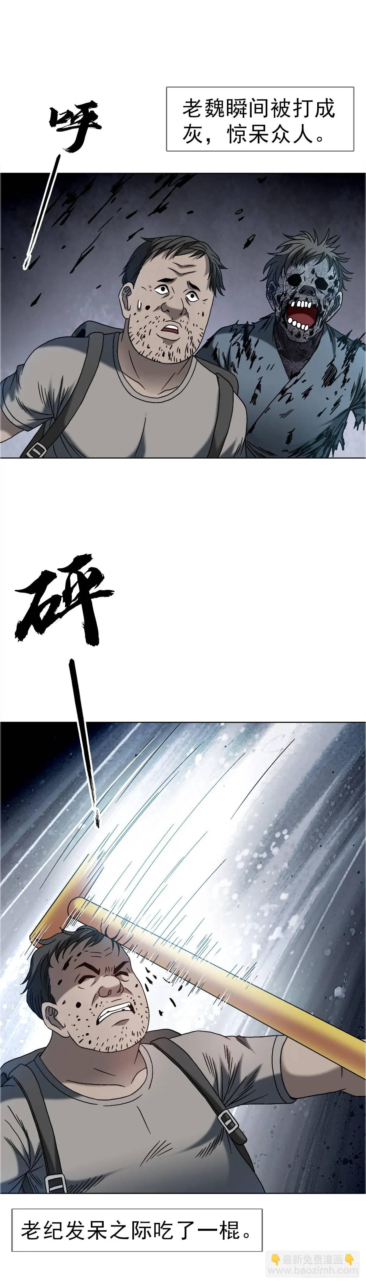 1575 老玉米23