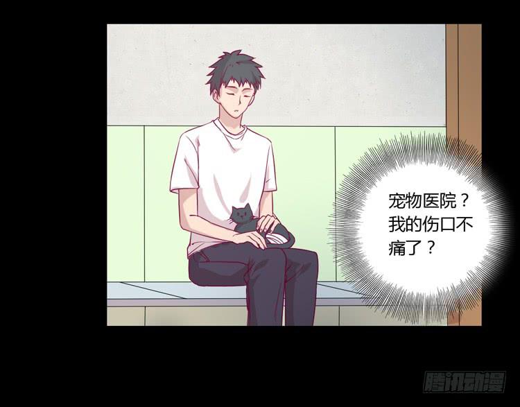 寿命等价交换？！12