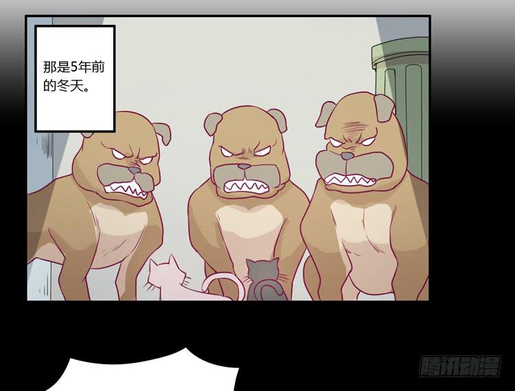 寿命等价交换？！3