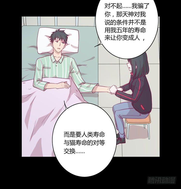 寿命等价交换？！42