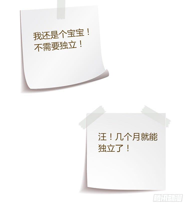 辰风的选择64