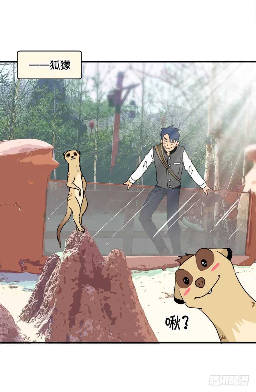 定下继承人11