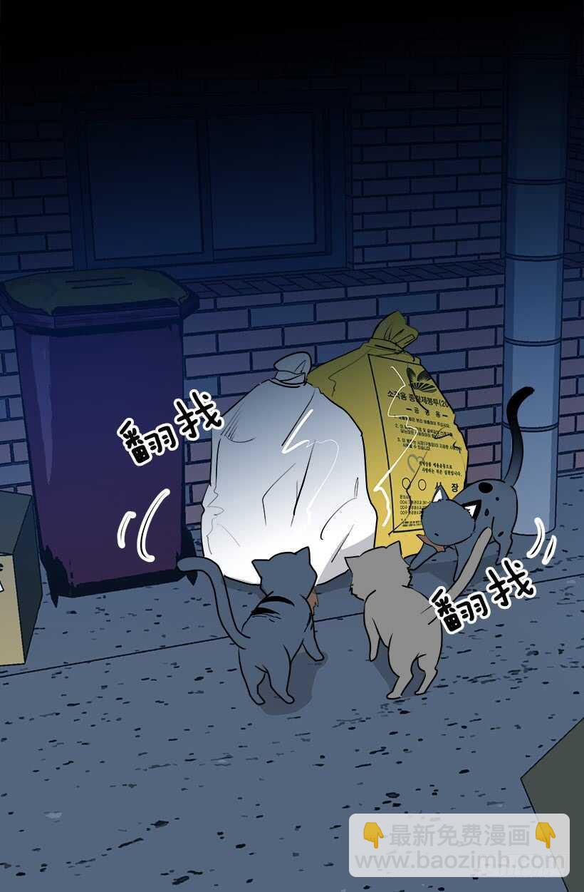 何去何从3