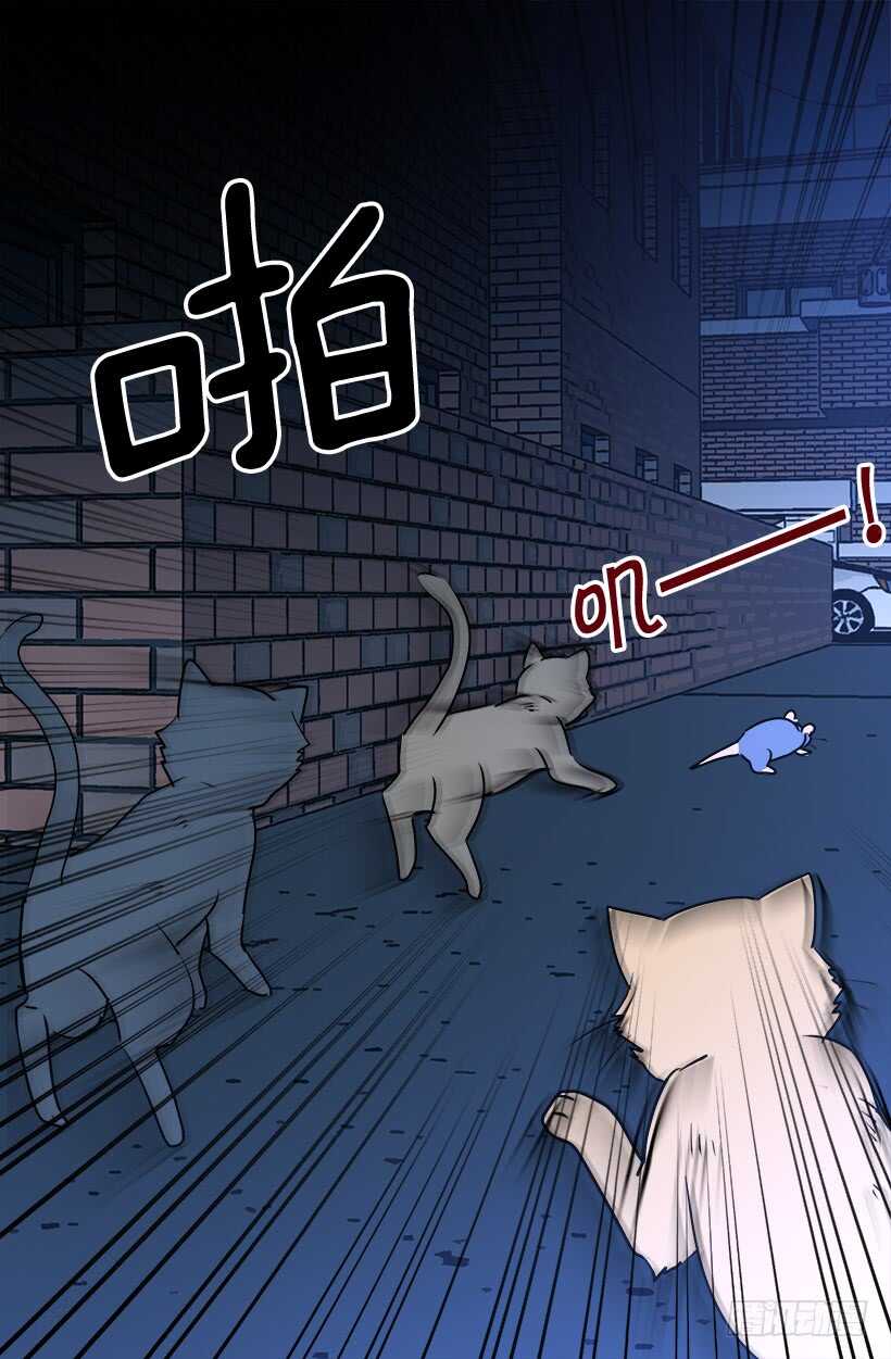 何去何从5
