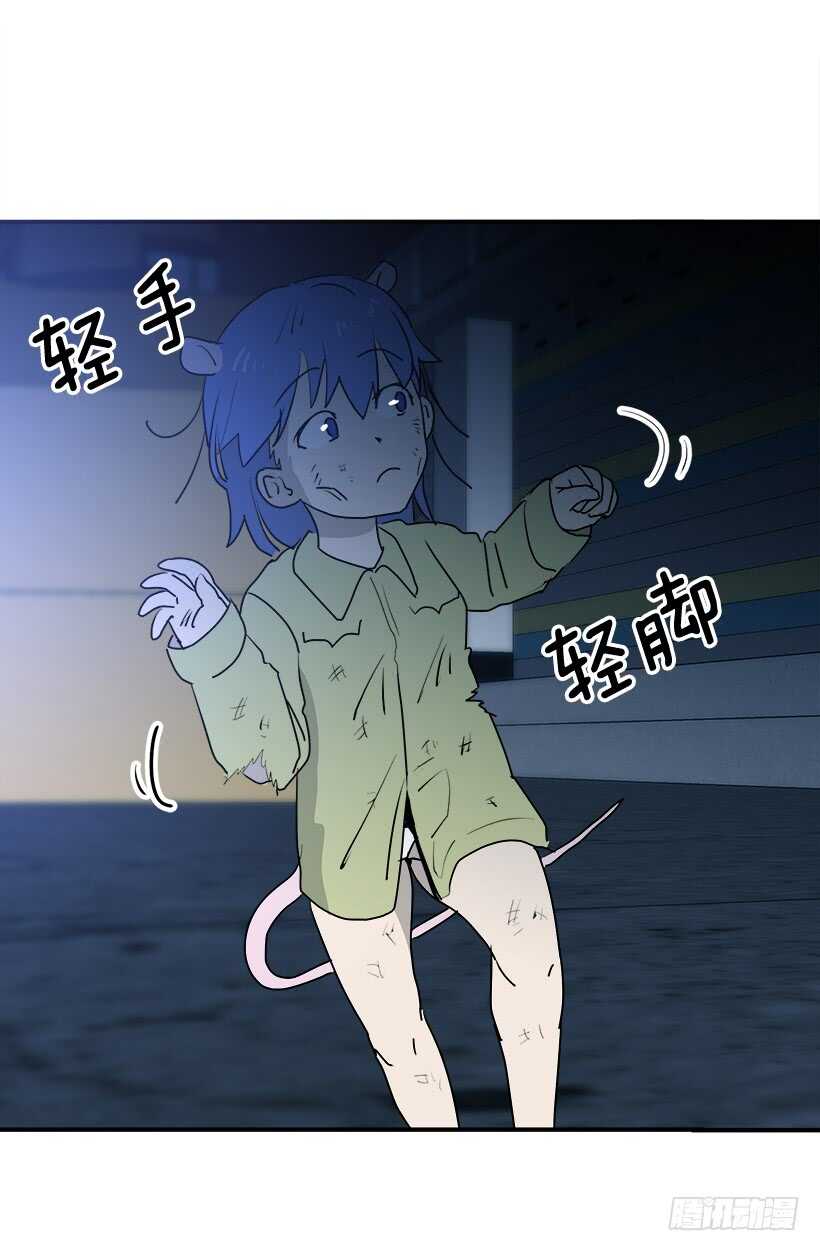 何去何从7