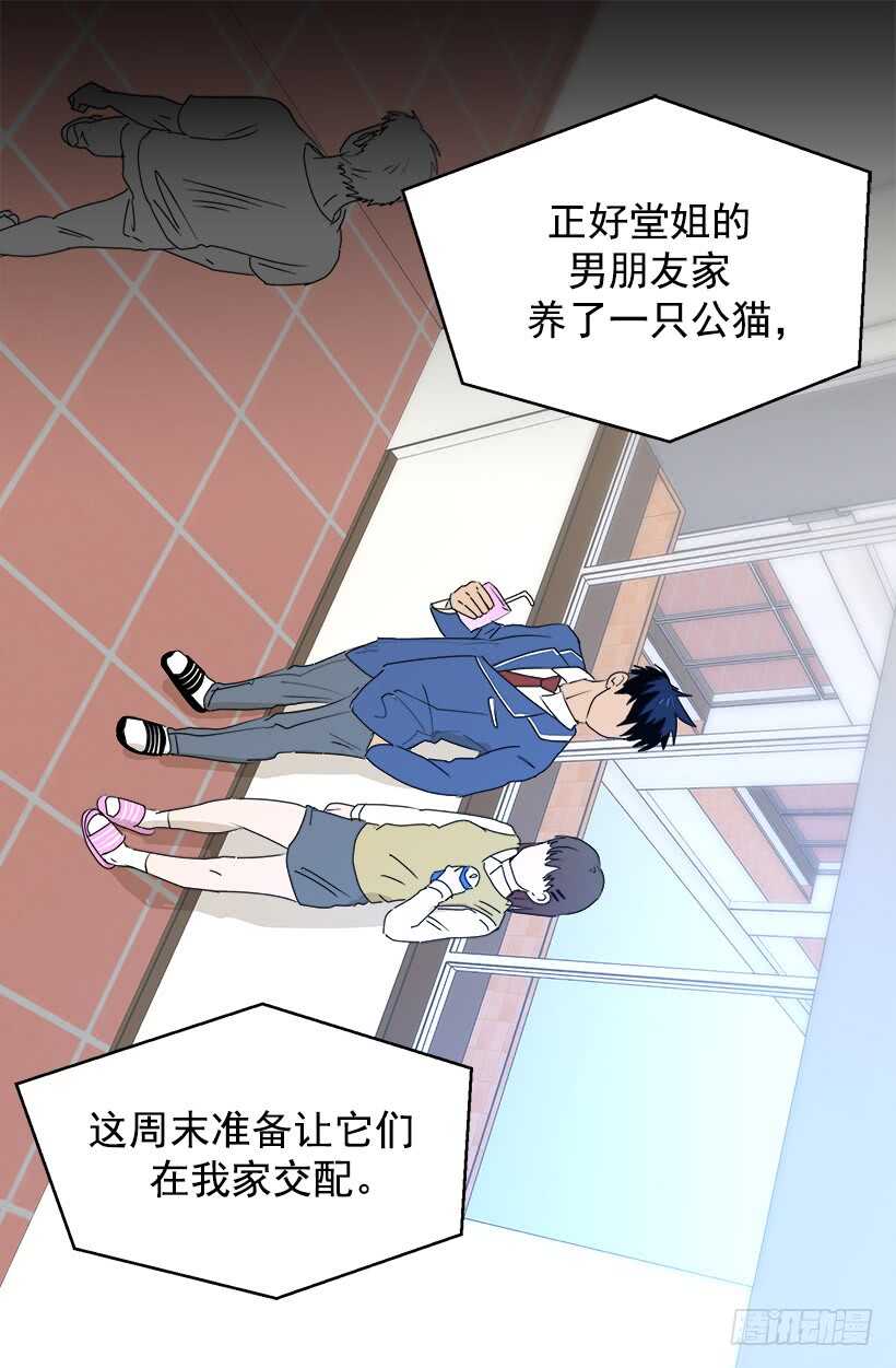 对你很期待12