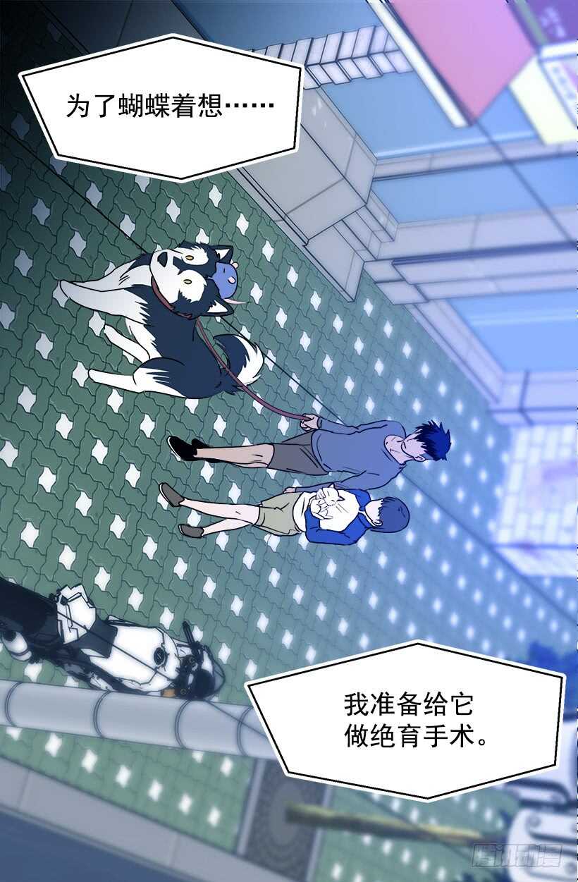 对你很期待6