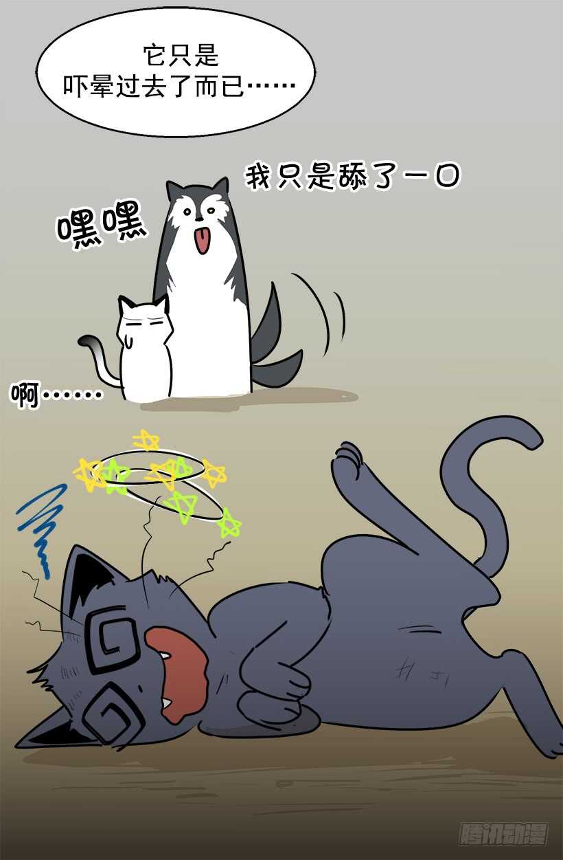 准备周全10
