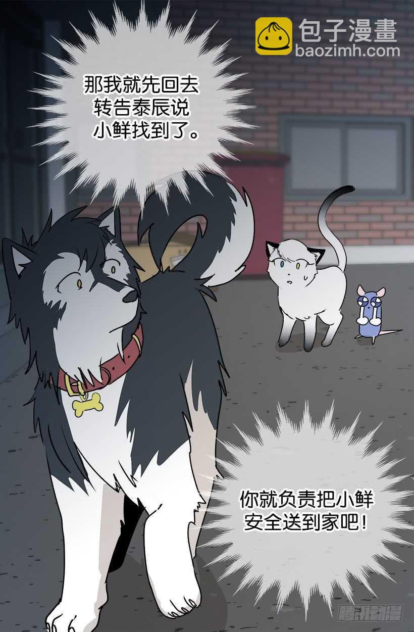 准备周全11