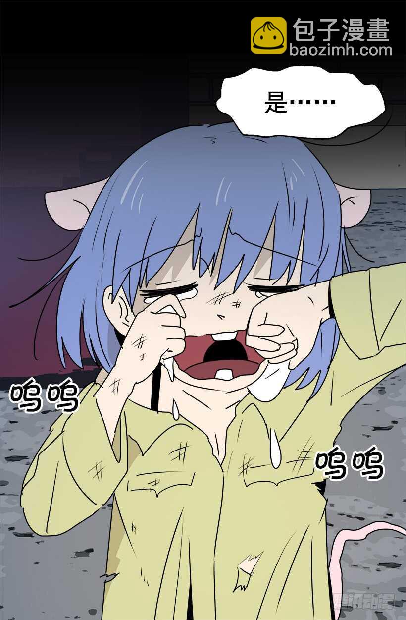 准备周全17