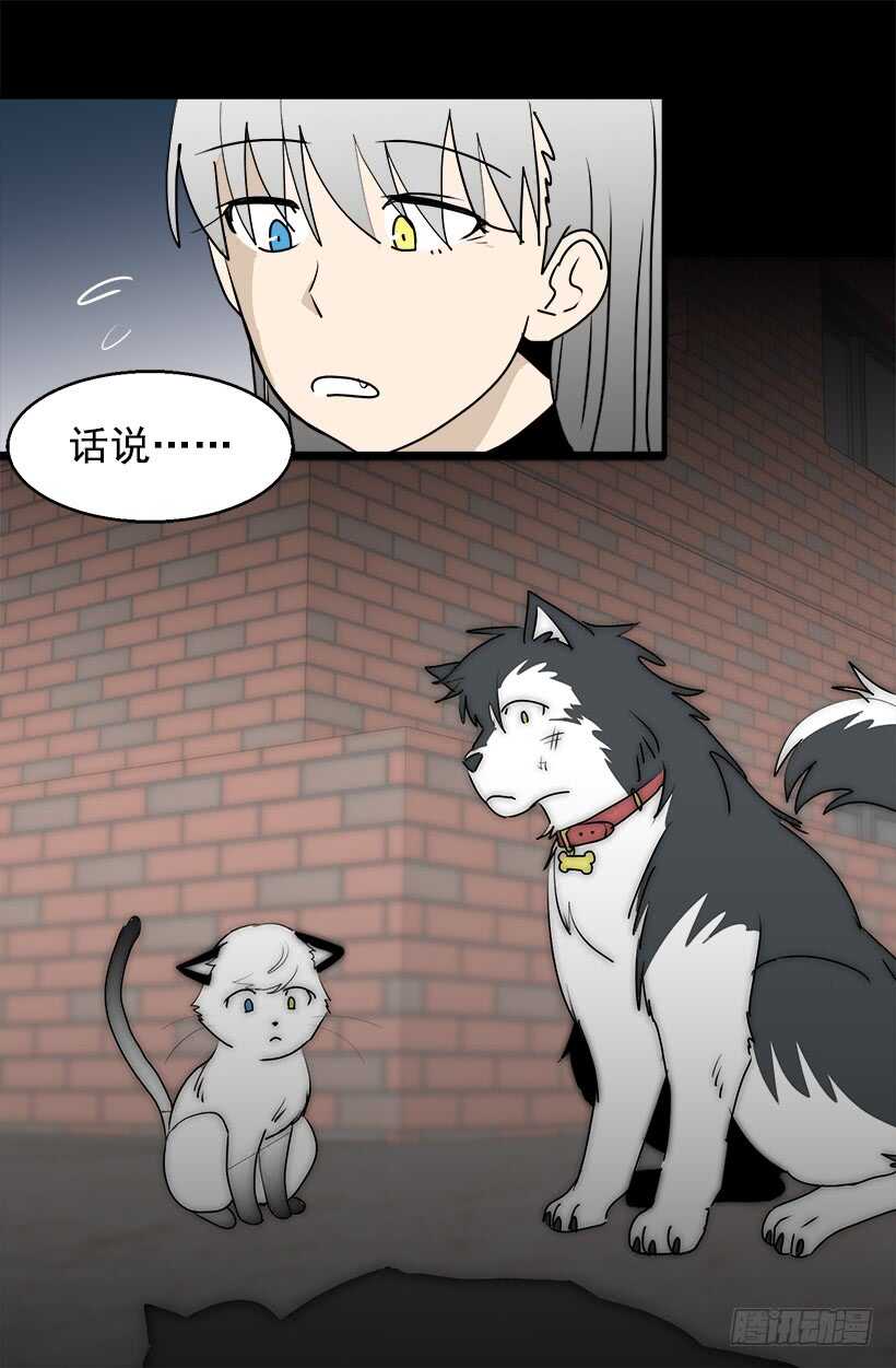 准备周全7