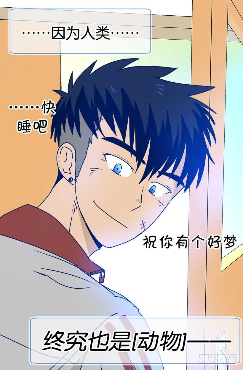 见习女骑士24