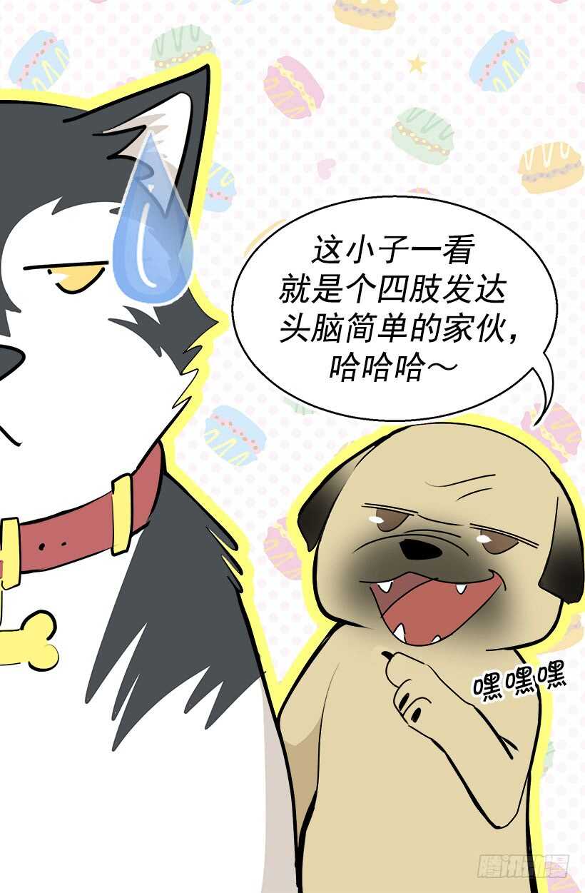 意外发现秘密9