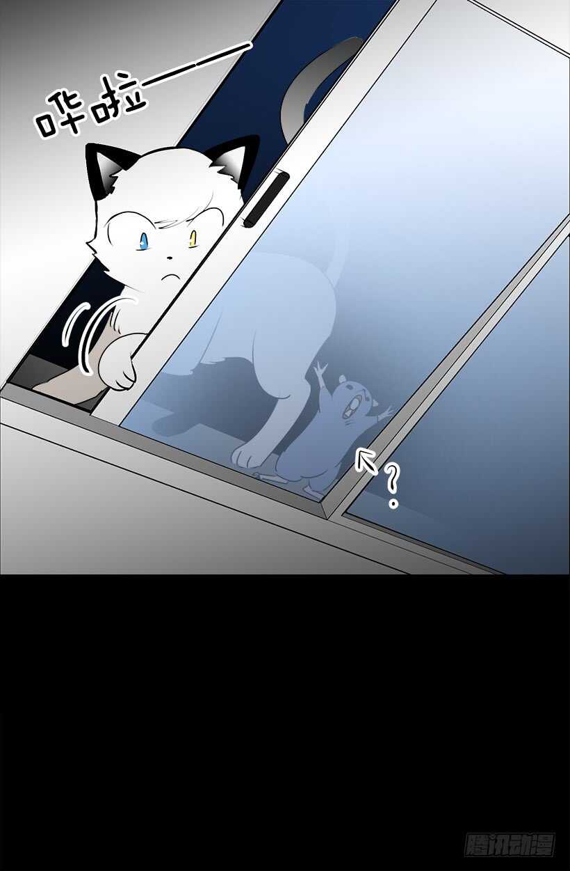 开始行动了20