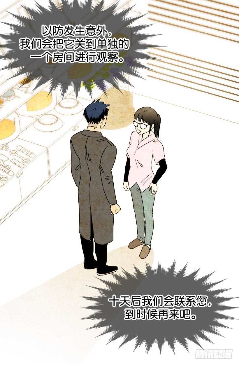 开始行动了4