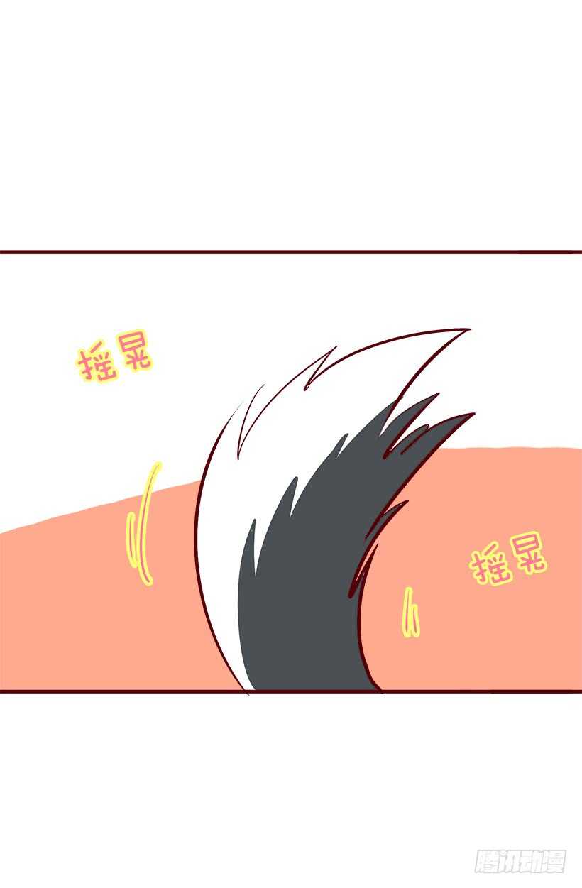 再试吧13