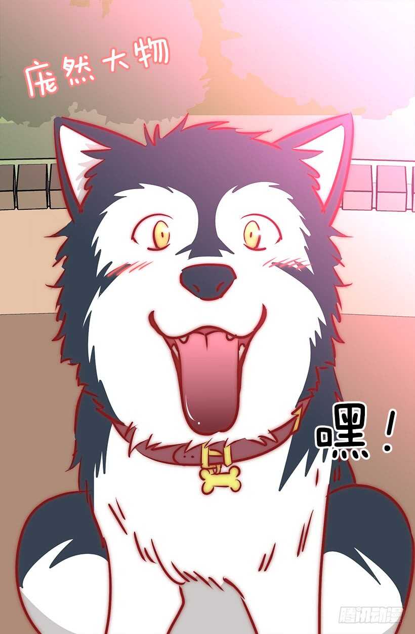 再试吧16