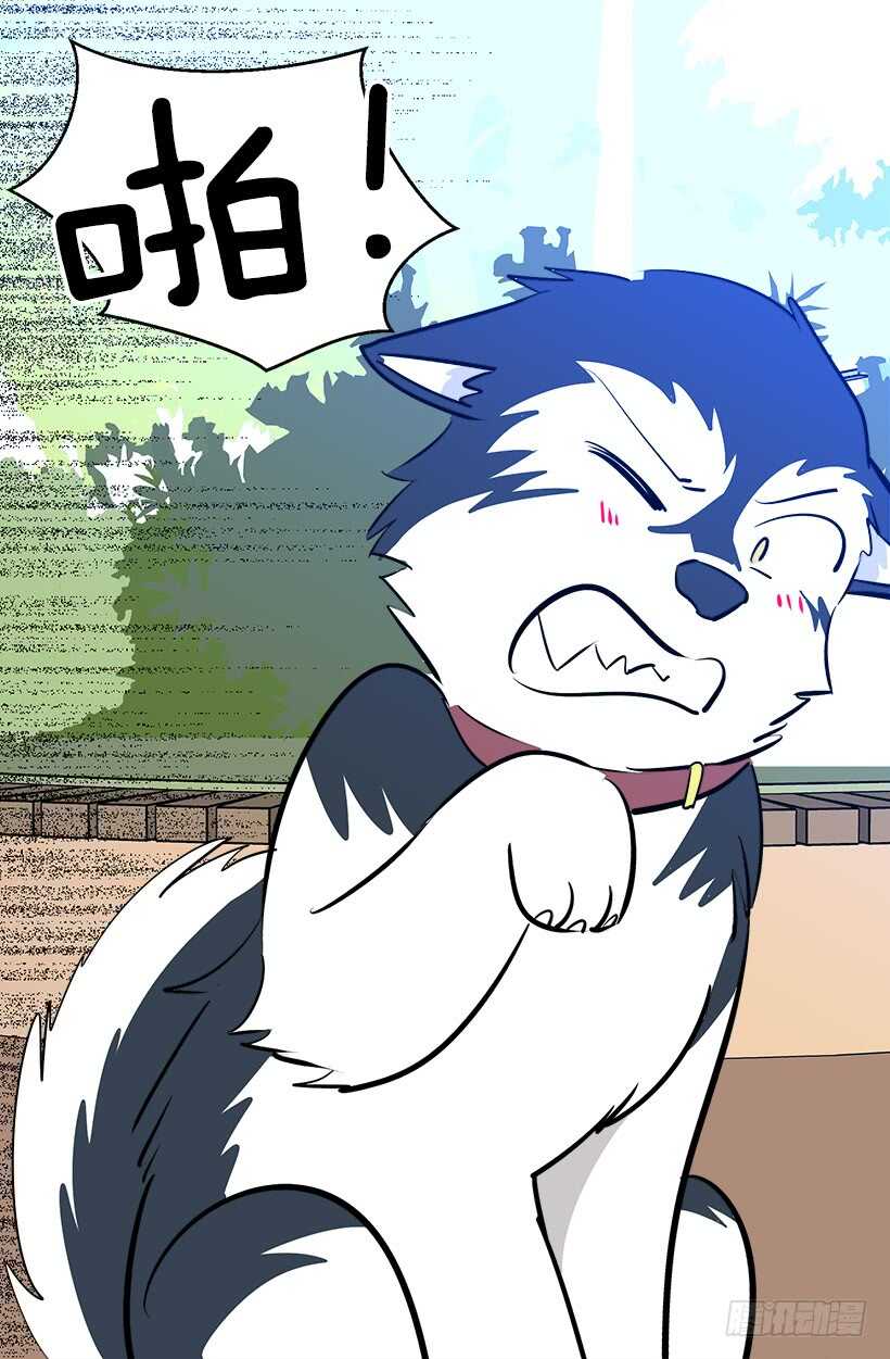再试吧23