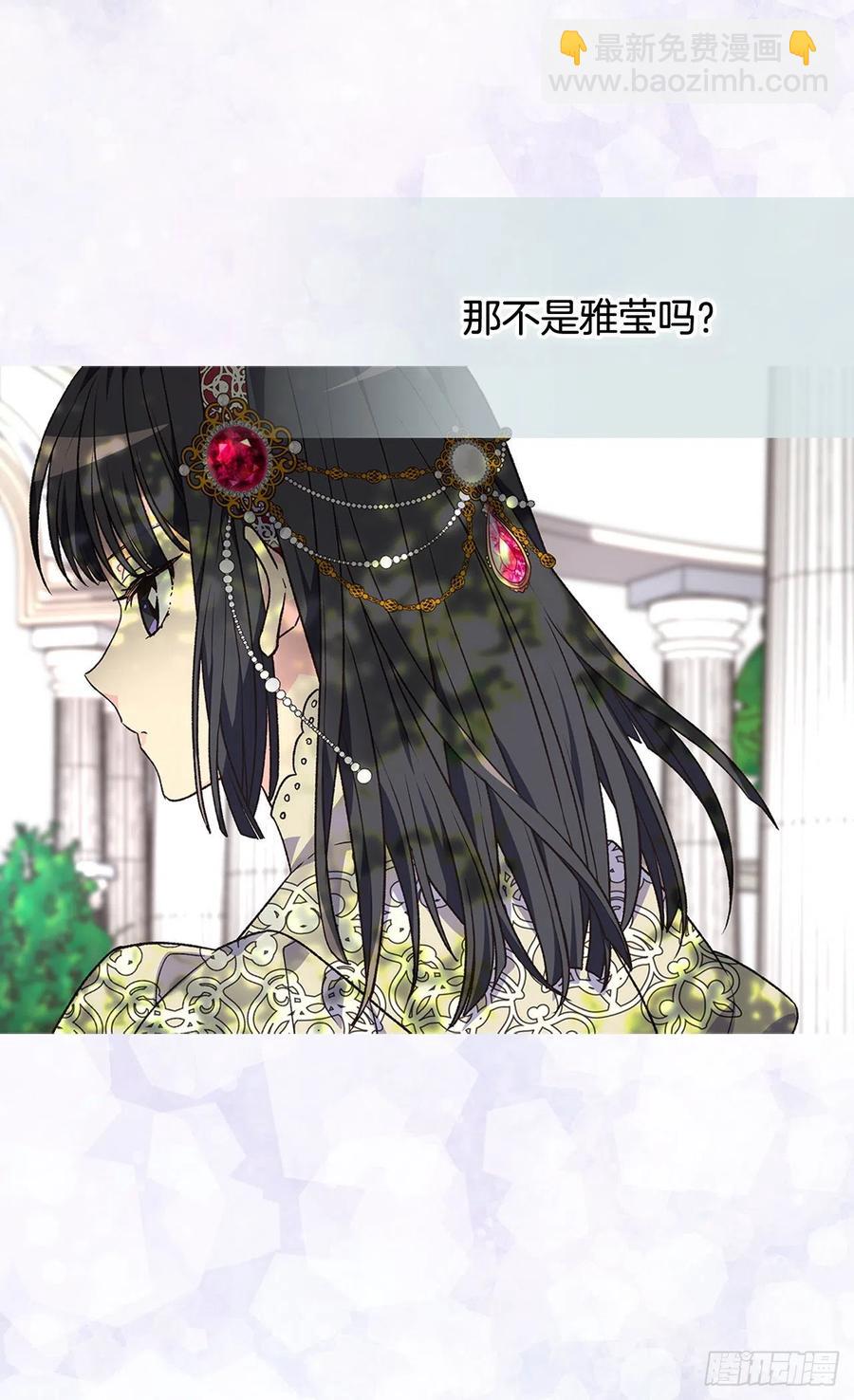齐内公爵的计划27