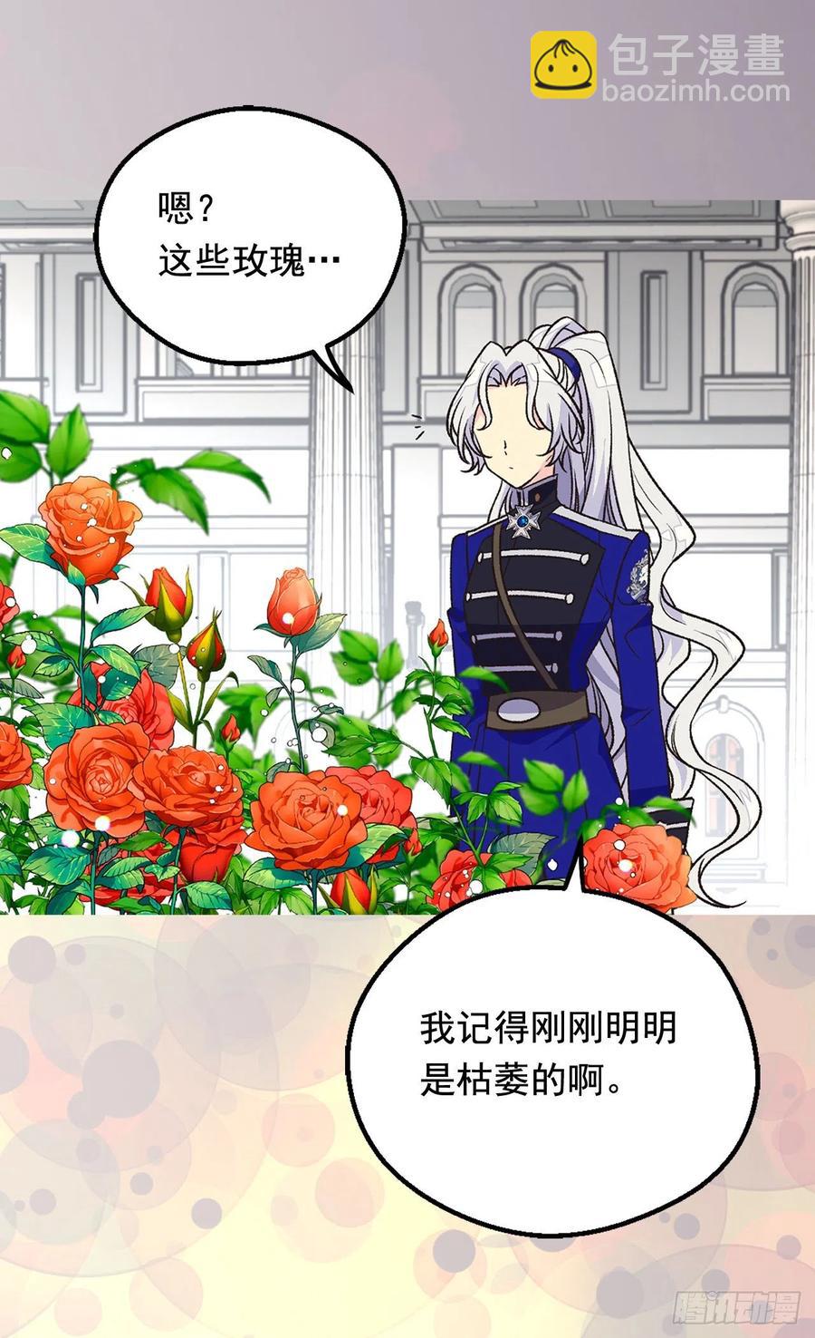 齐内公爵的计划29