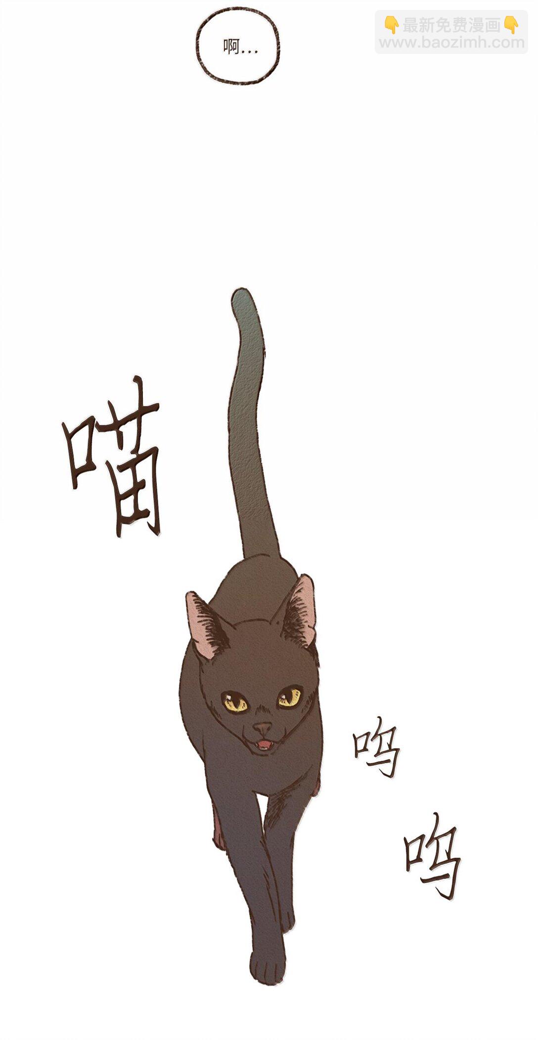 159 我还没有柔弱到不能自理31