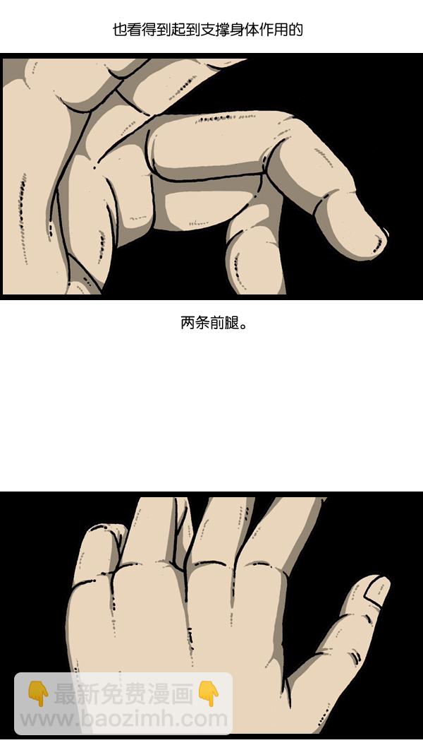[第903话] 神秘动物综述31