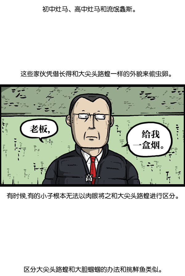 [第903话] 神秘动物综述313