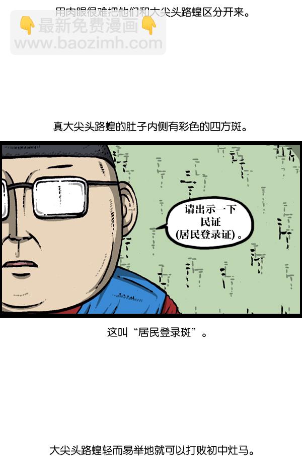 [第903话] 神秘动物综述315