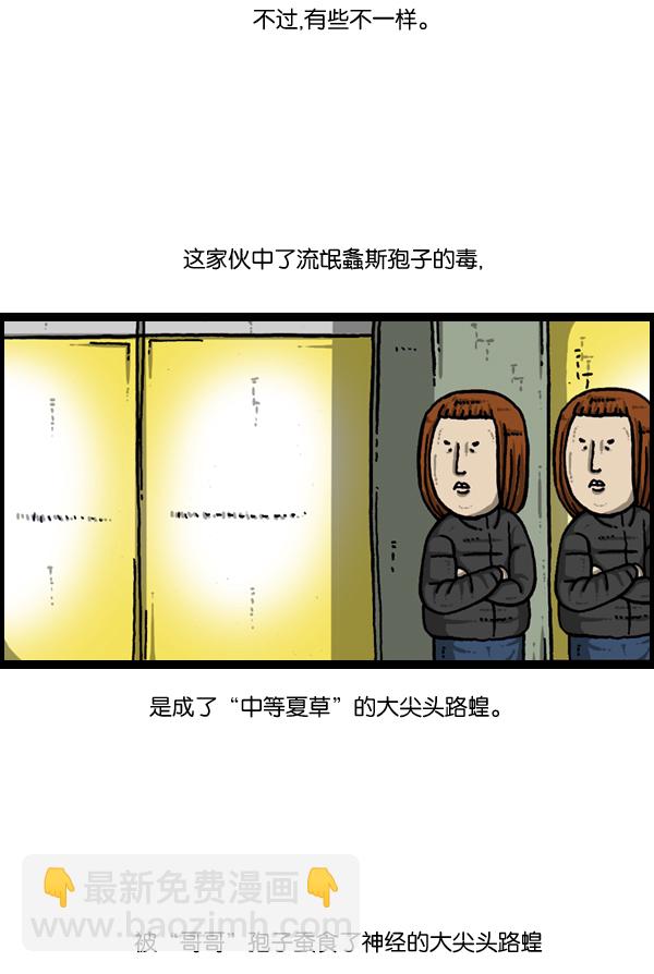 [第903话] 神秘动物综述317