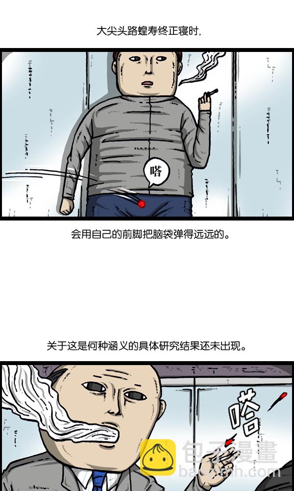 [第903话] 神秘动物综述328