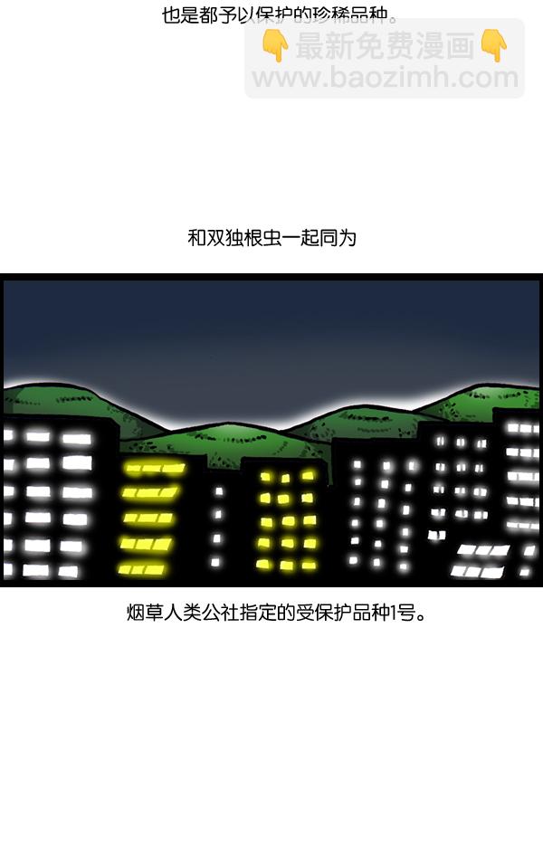 [第903话] 神秘动物综述339