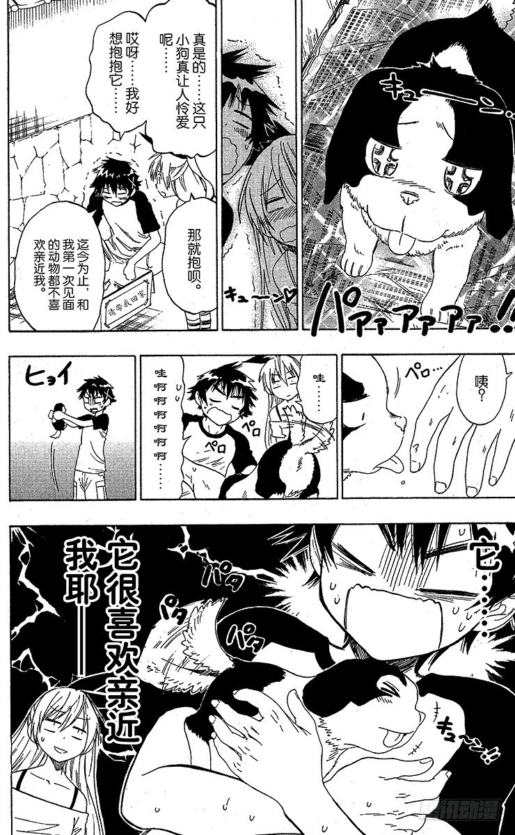第41话 流浪狗3