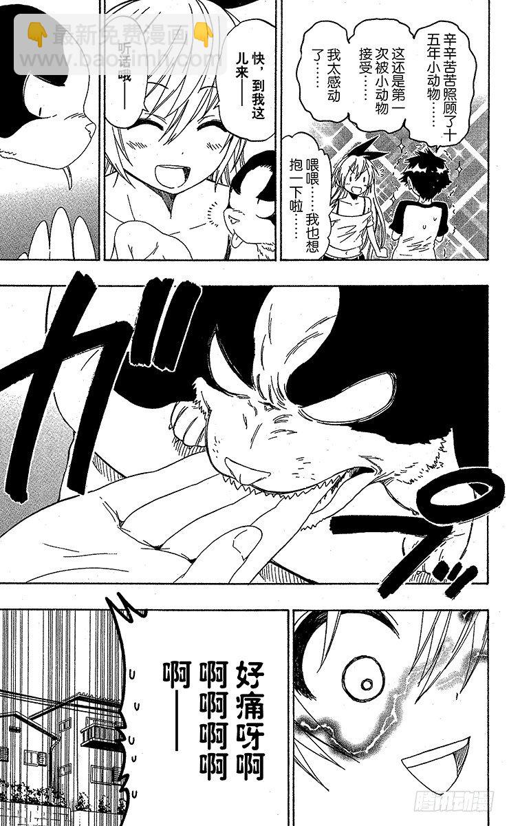 第41话 流浪狗4