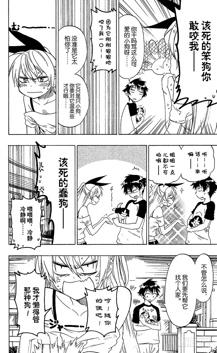 第41话 流浪狗5