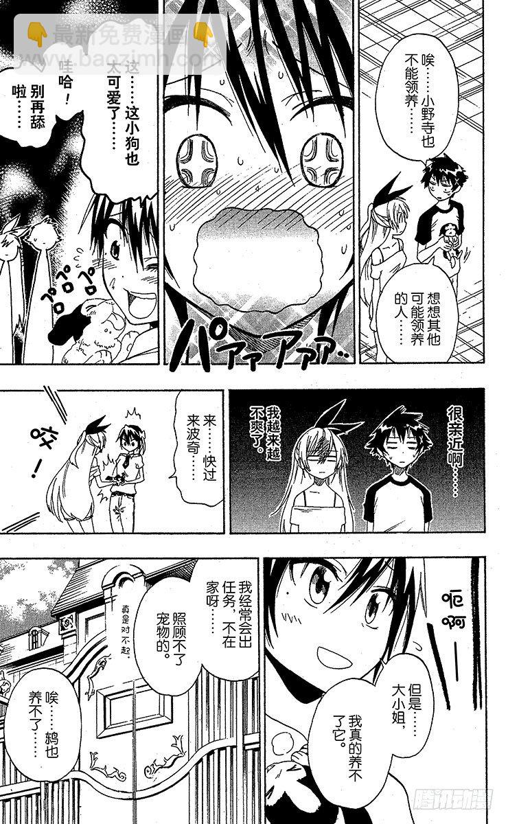 第41话 流浪狗8