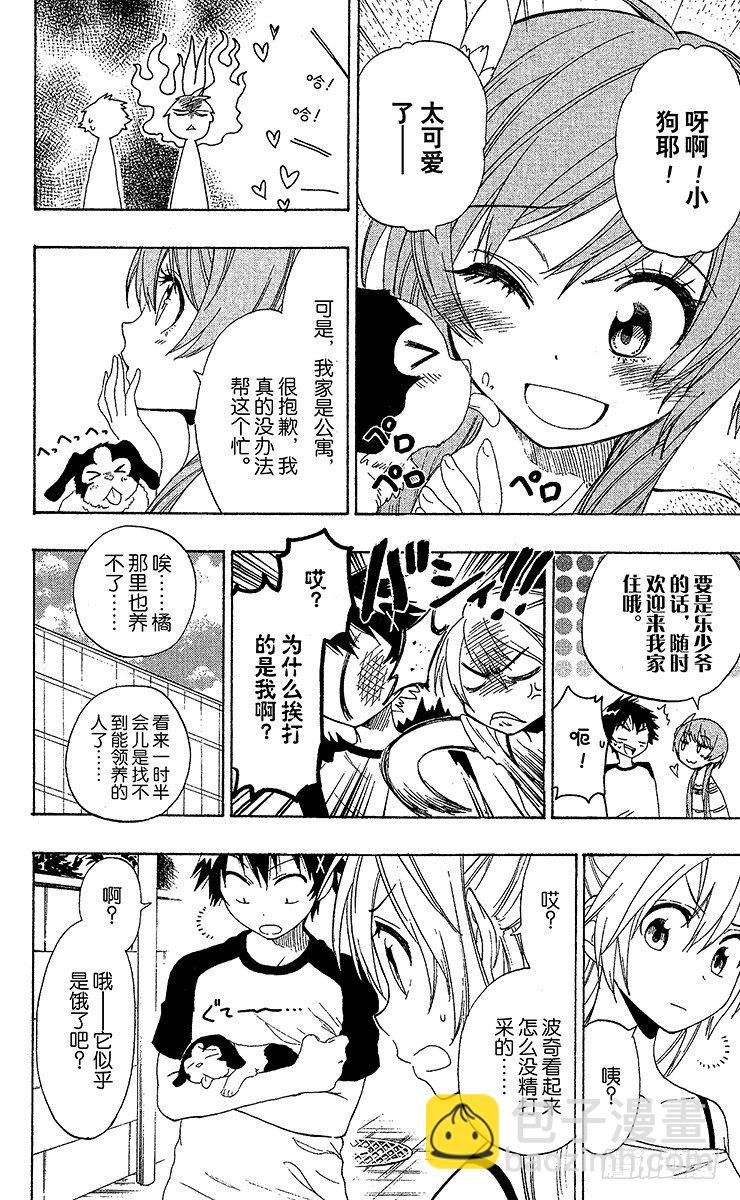 第41话 流浪狗9