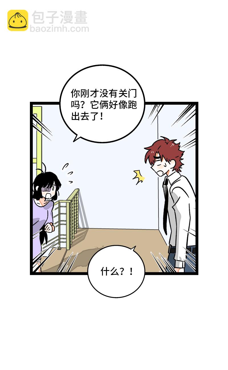 第77话 小鱼干之神22