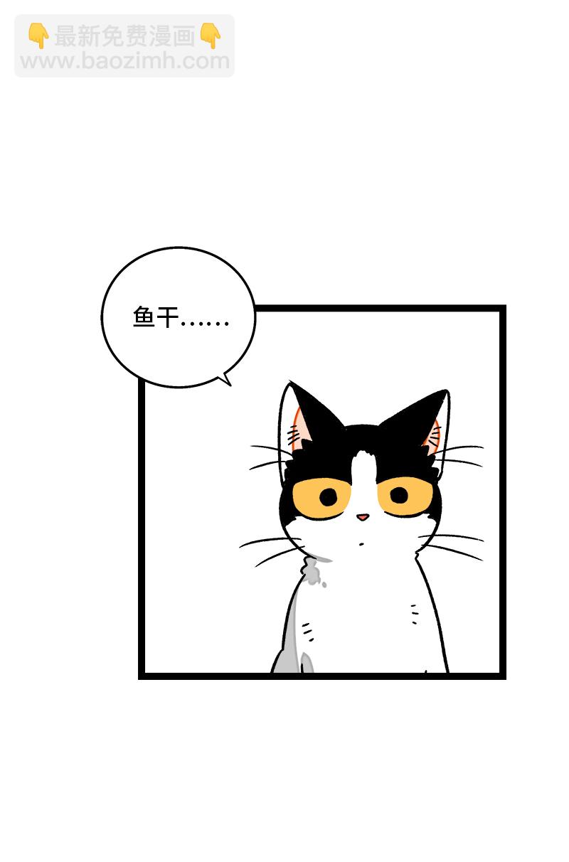 第77话 小鱼干之神30