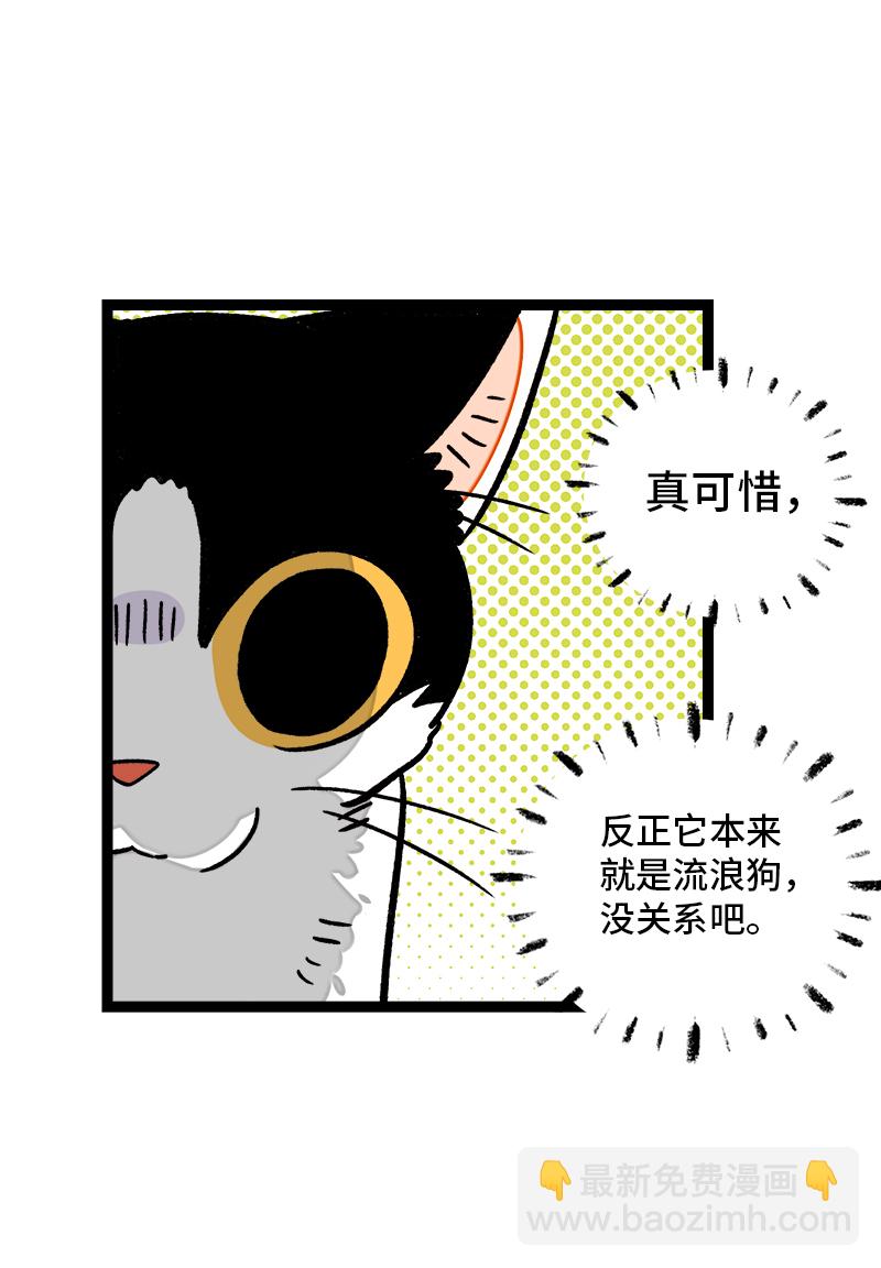第77话 小鱼干之神8