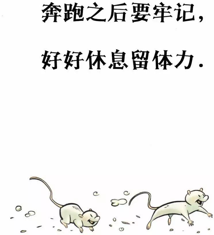 第11.5卷5