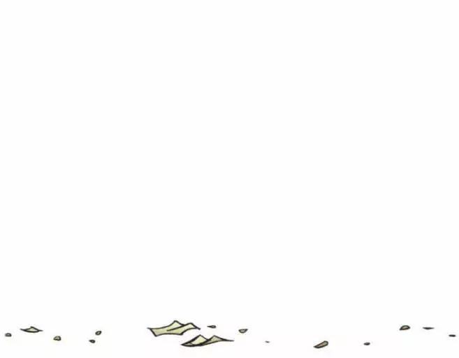 第11.5卷6