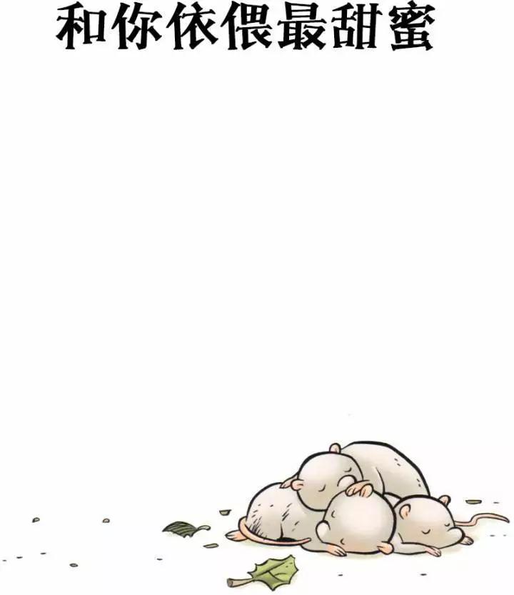 第11.5卷7