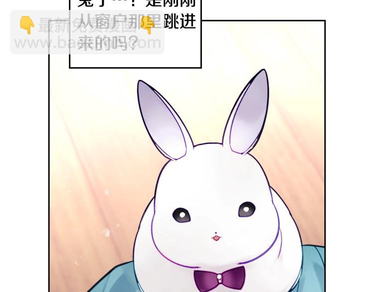 第32话 恐怖的兔子9