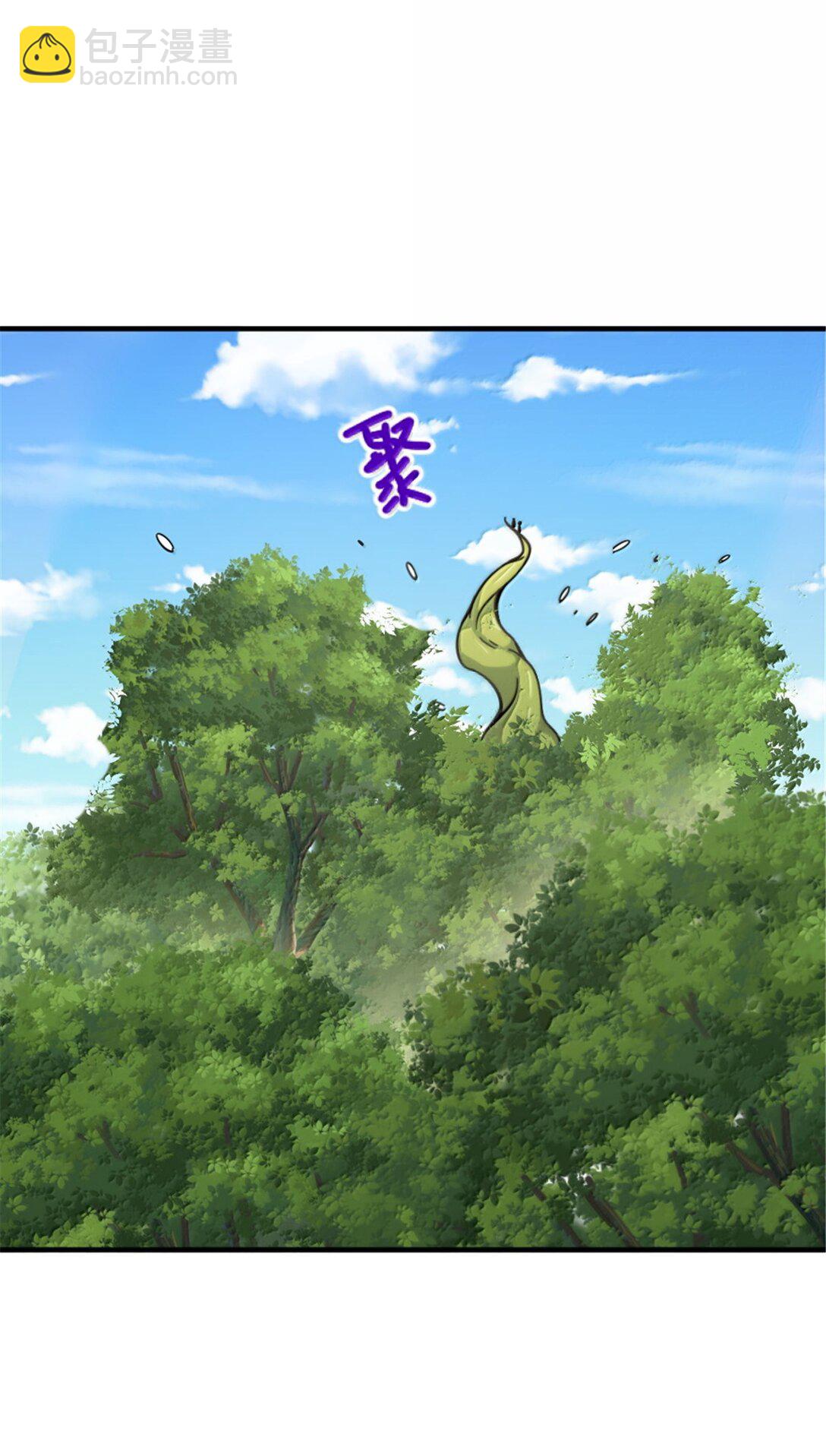 642 林间的下午茶16
