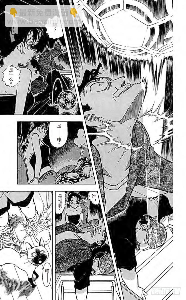 FILE.10 服部平次走投无路14