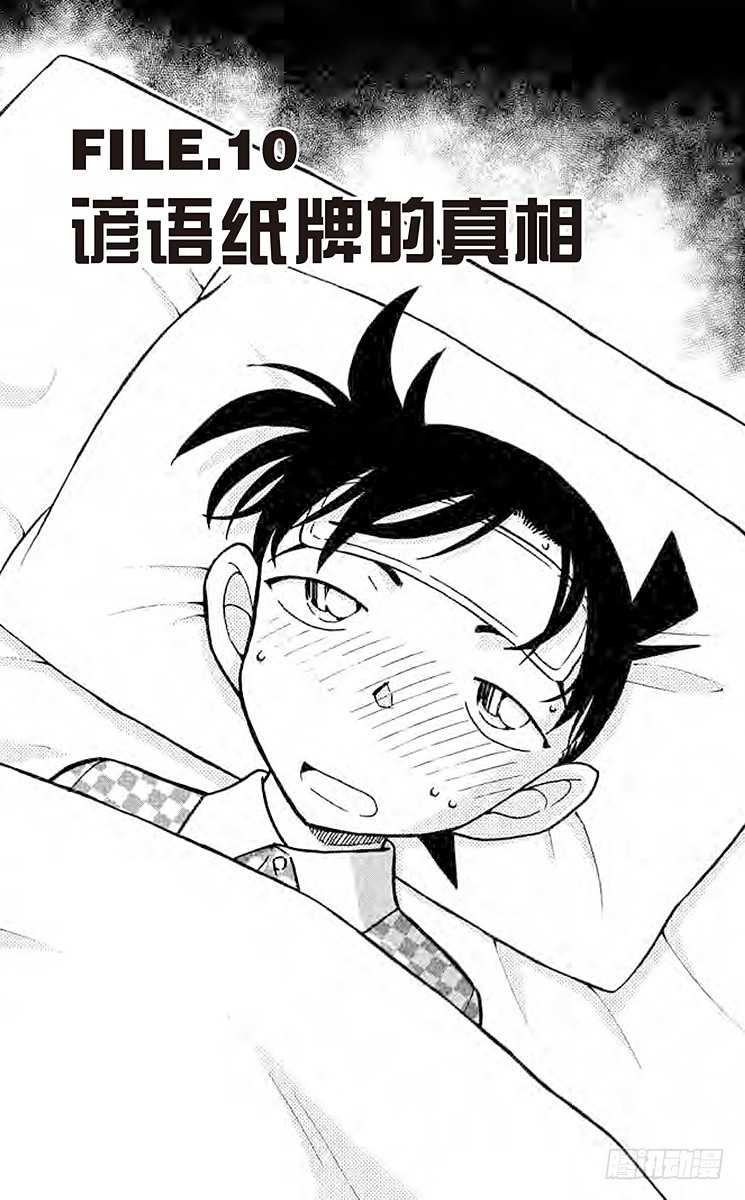 FILE.10 谚语纸牌的真相0