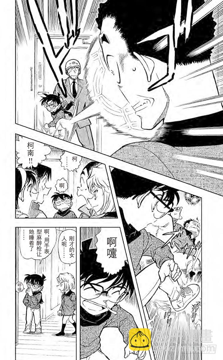 FILE.10 谚语纸牌的真相13