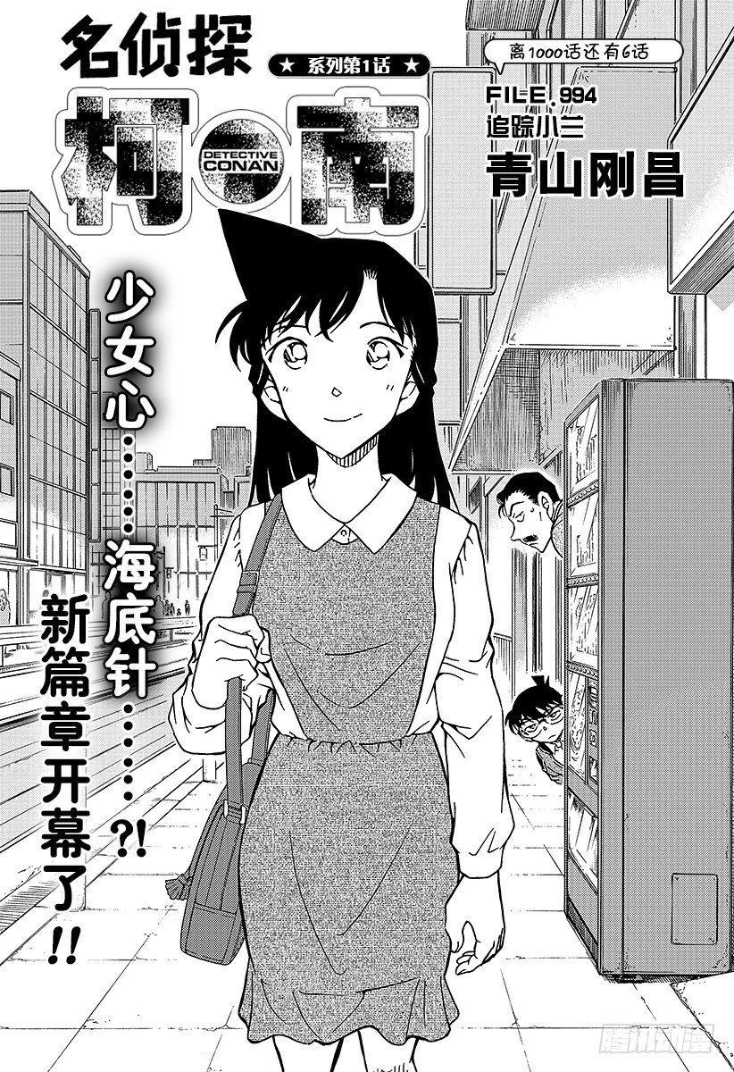 FILE.994 追踪小兰0