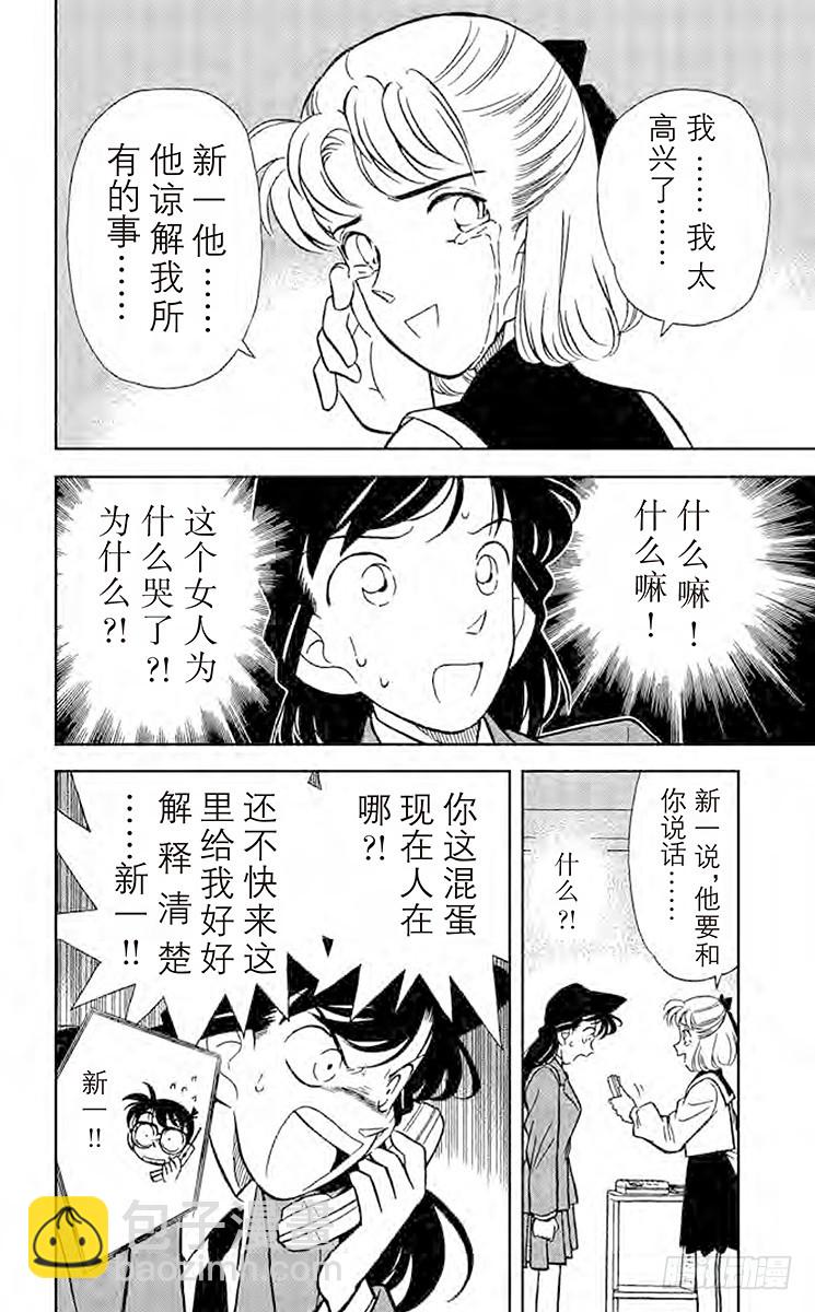 FILE.9 名侦探小兰11