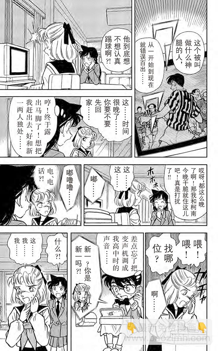 FILE.9 名侦探小兰8